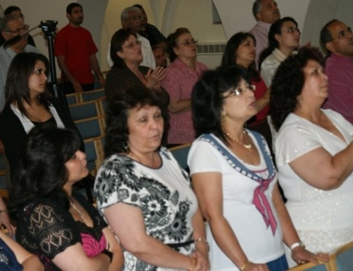 Hany Romany Concert