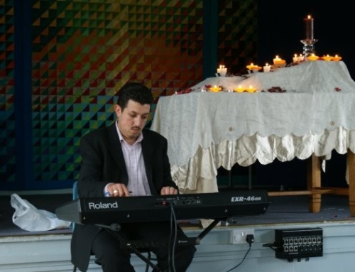 Hany Romany Concert